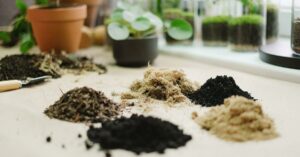 Organic Gardening Tips for a Healthy, Eco-Friendly Garden